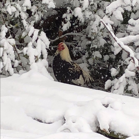 Meet your Posher, Kim - Picture 1 of 1